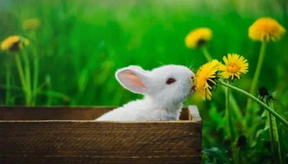 开云登录入口：一次登录，开启全域高效与安全未来